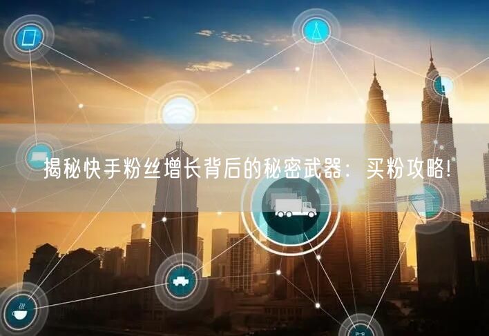 揭秘快手粉丝增长背后的秘密武器：买粉攻略!