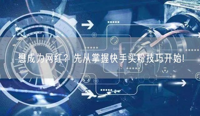 想成为网红？先从掌握快手买粉技巧开始!