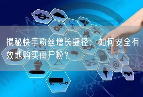 揭秘快手粉丝增长捷径：如何安全有效地购买僵尸粉？