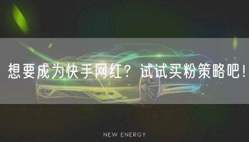 想要成为快手网红？试试买粉策略吧！