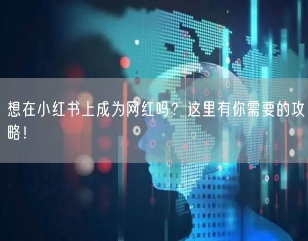 想在小红书上成为网红吗？这里有你需要的攻略！