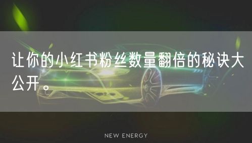 让你的小红书粉丝数量翻倍的秘诀大公开。