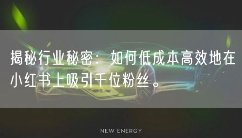 揭秘行业秘密:如何低成本高效地在小红书上吸引千位粉丝。